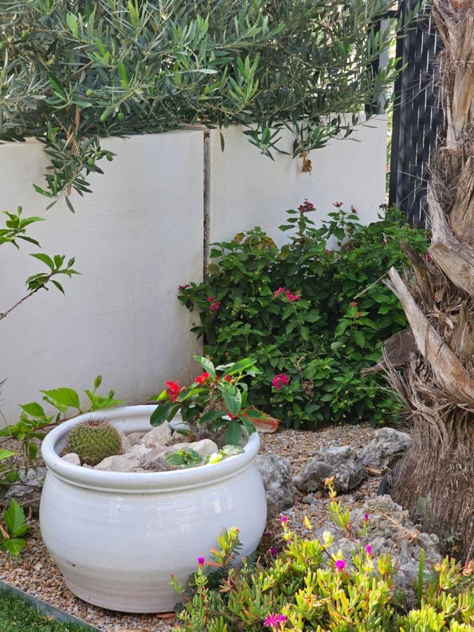 Casa Veran At La Finca Golf アルゴルファ エクステリア 写真